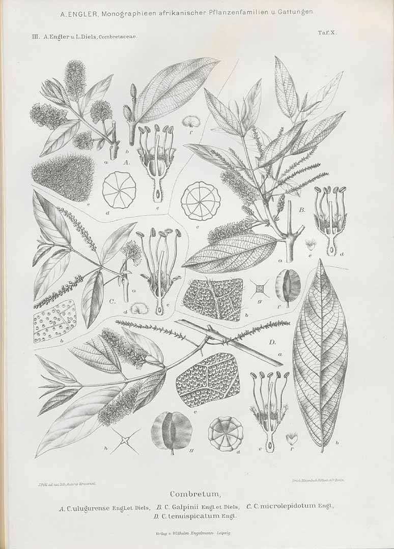 no HD illustration available (m3)