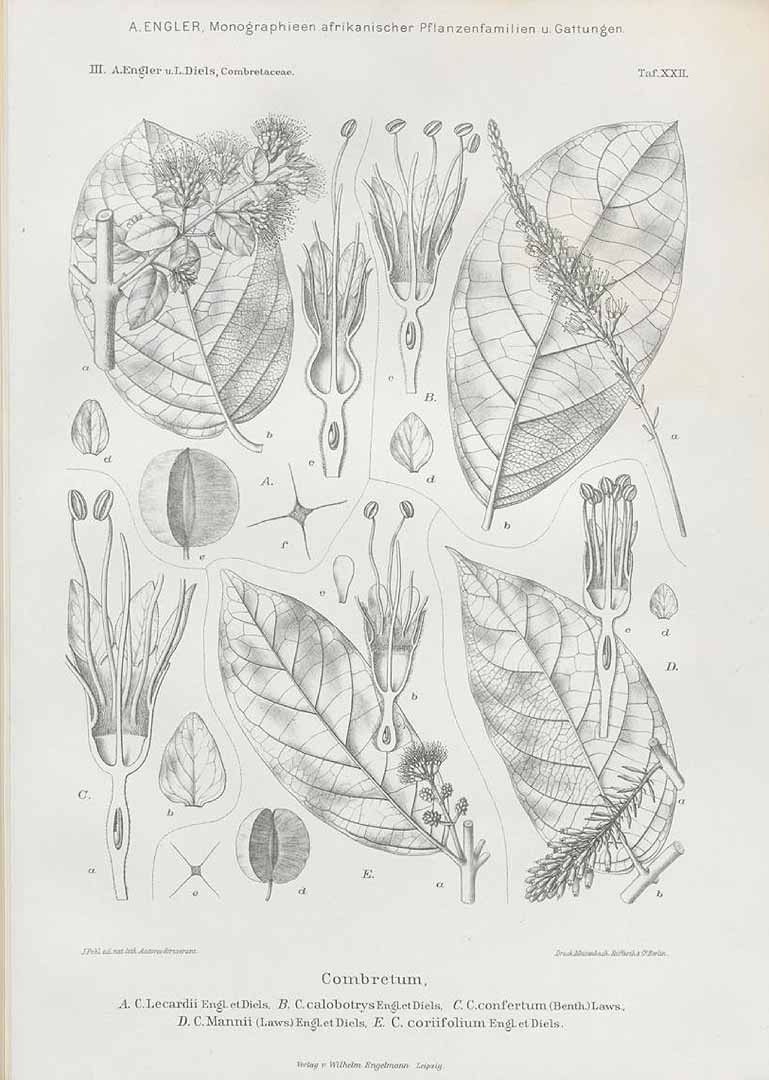 no HD illustration available (m3)