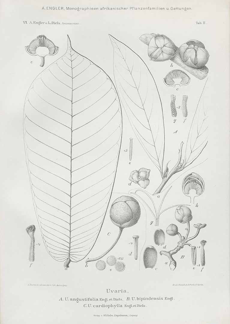 no HD illustration available (m3)