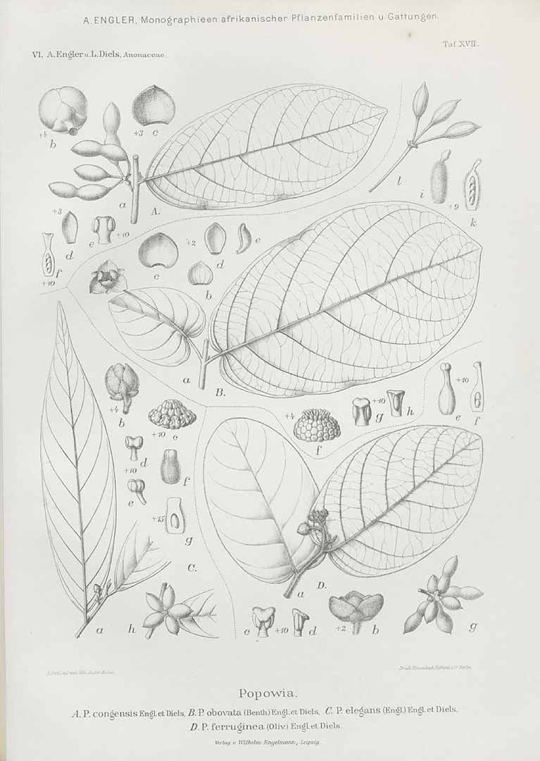 no HD illustration available (m3)