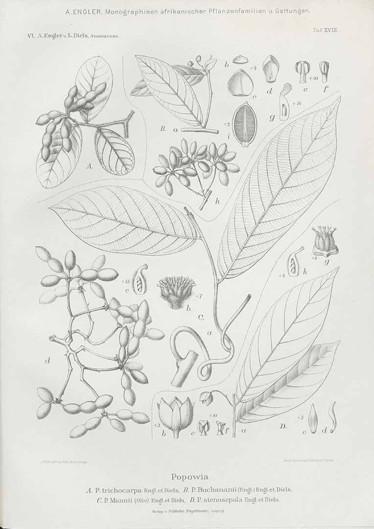 no HD illustration available (m3)