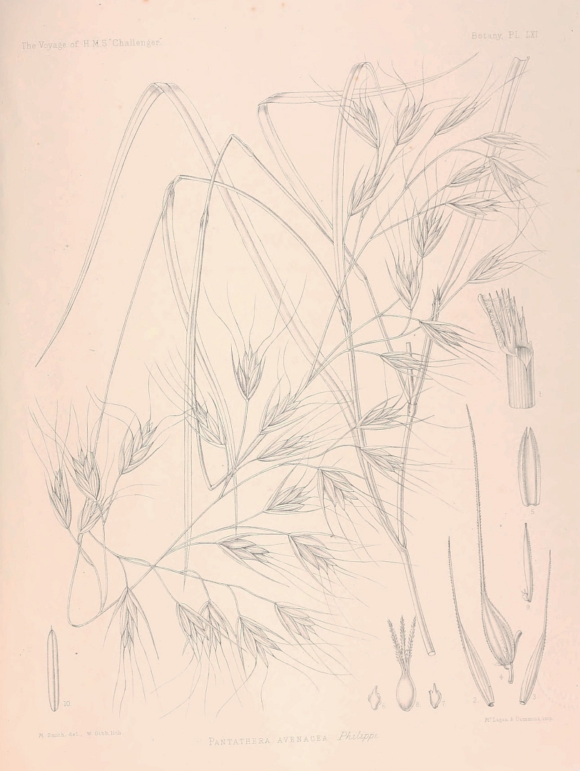 no HD illustration available (m3)