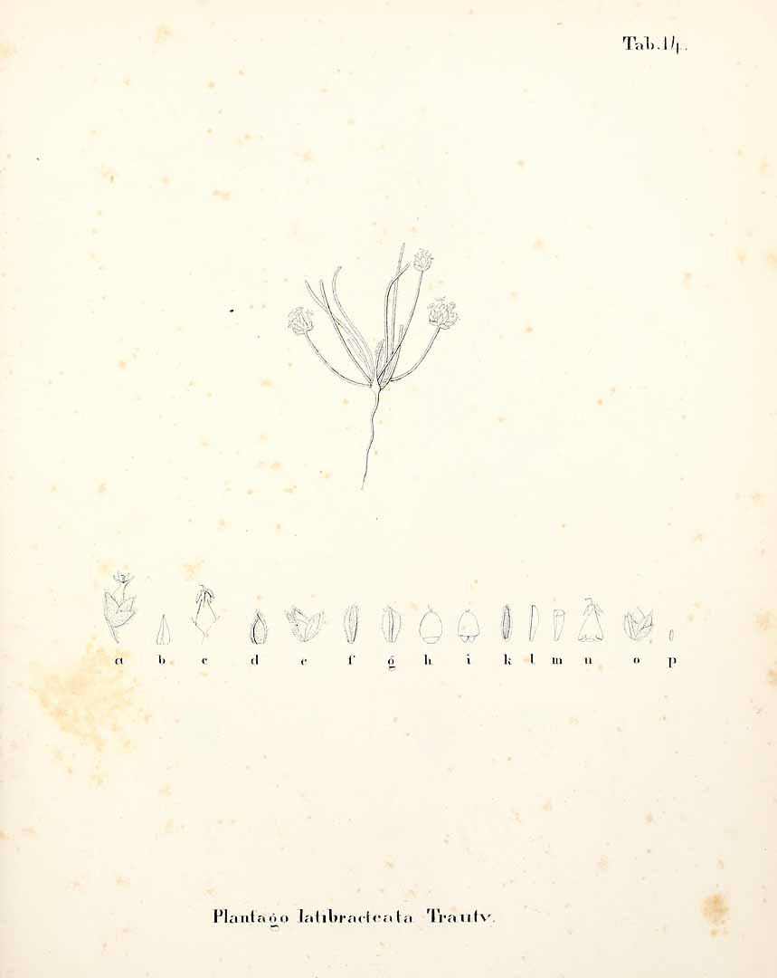 no HD illustration available (m3)