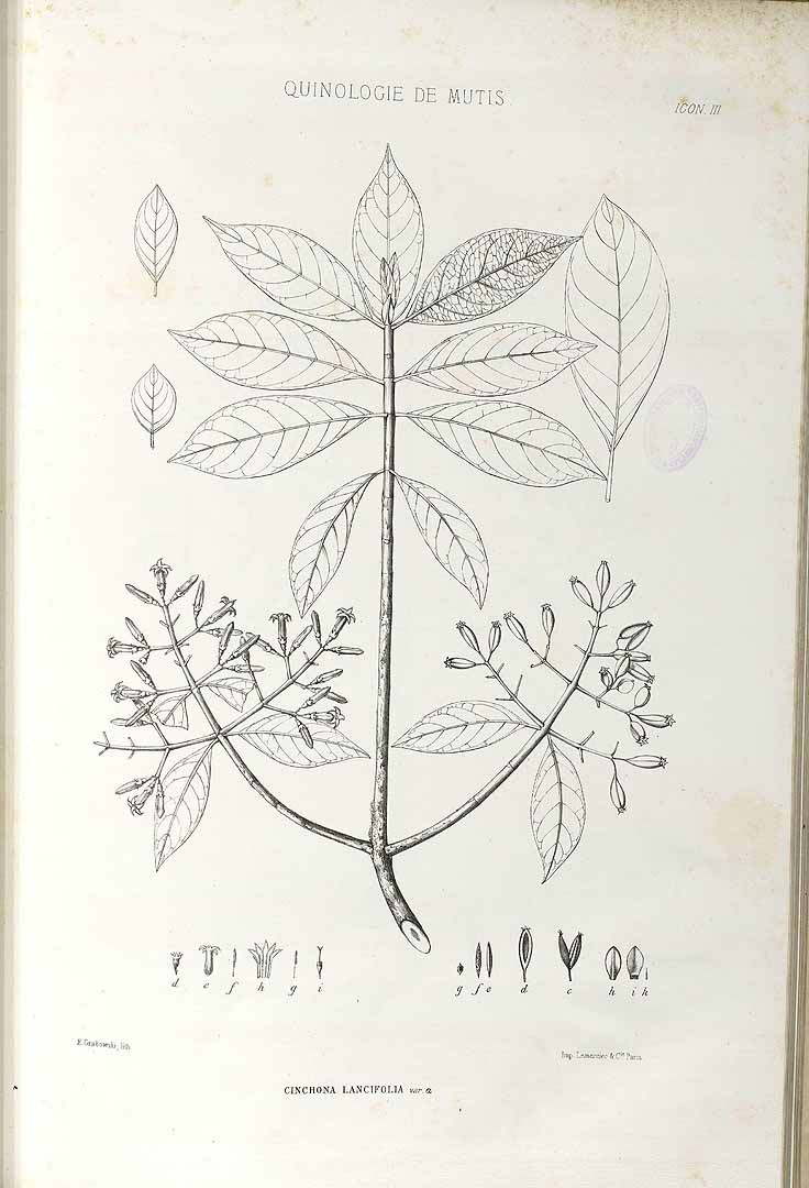no HD illustration available (m1)