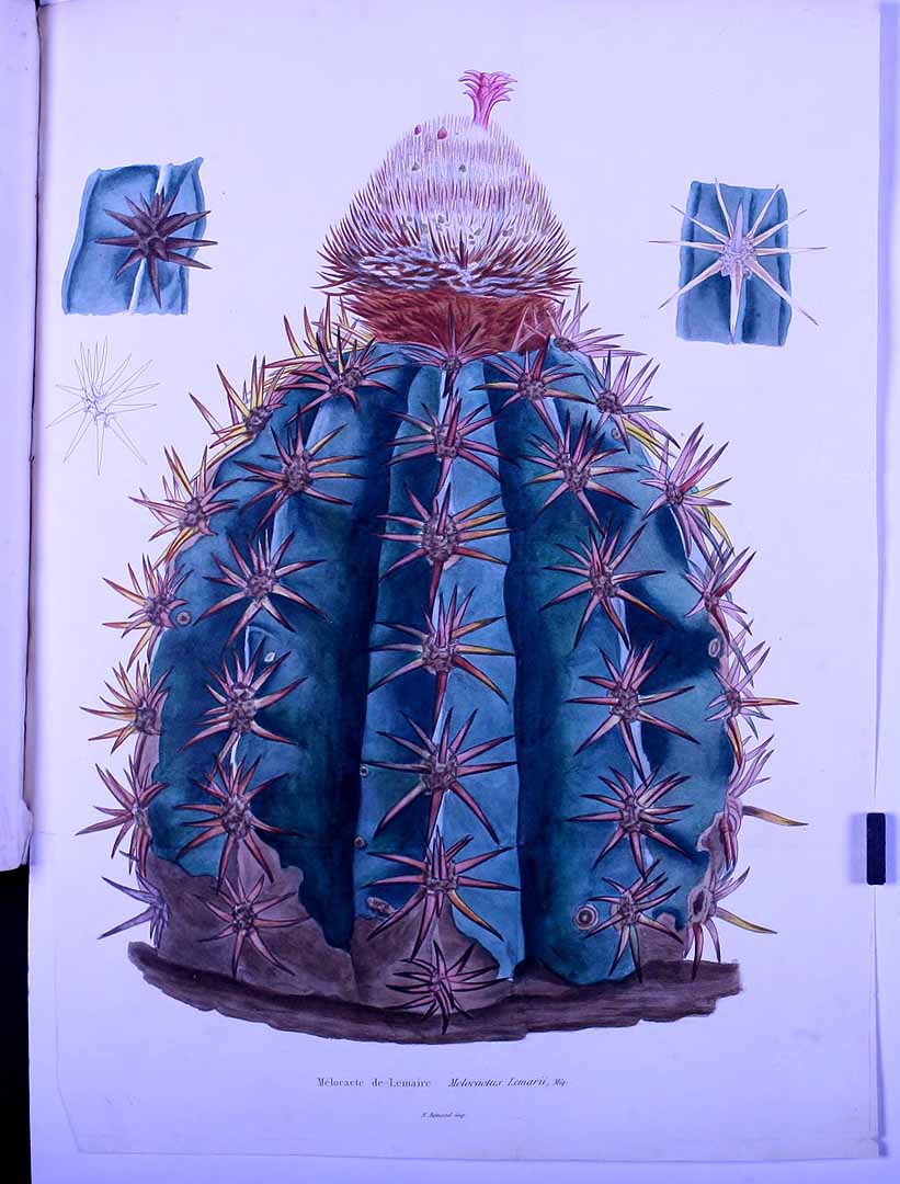 no HD illustration available (m1)