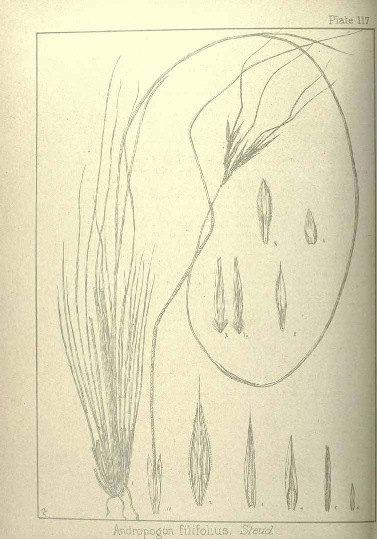 no HD illustration available (m3)