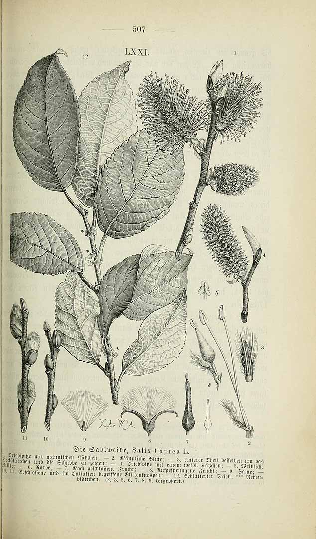 no HD illustration available (m3)