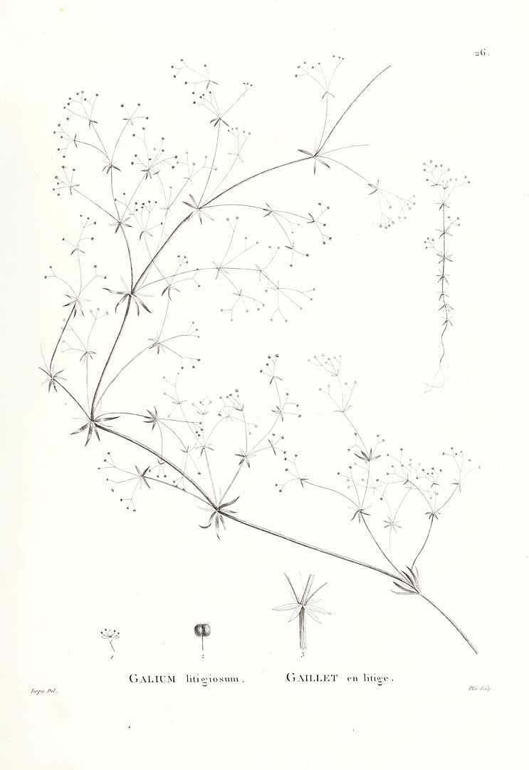 no HD illustration available (m1)