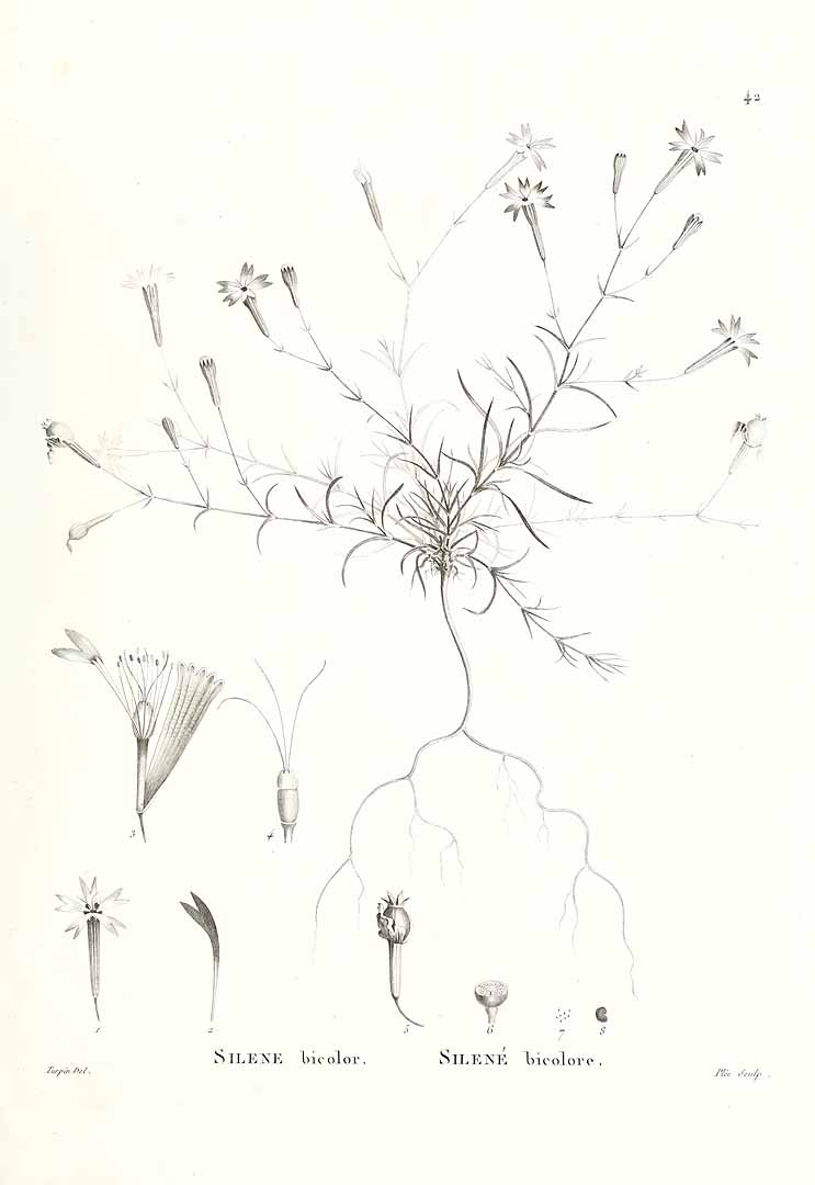 no HD illustration available (m3)