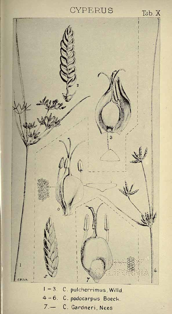no HD illustration available (m3)
