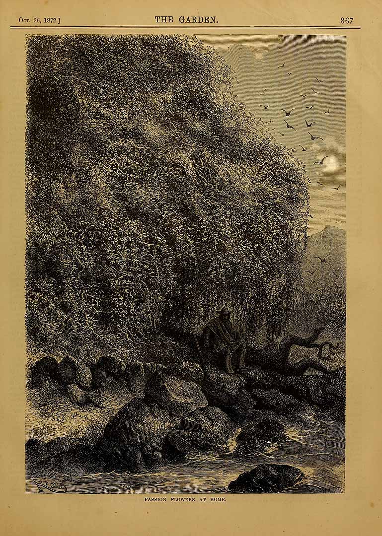 no HD illustration available (m3)