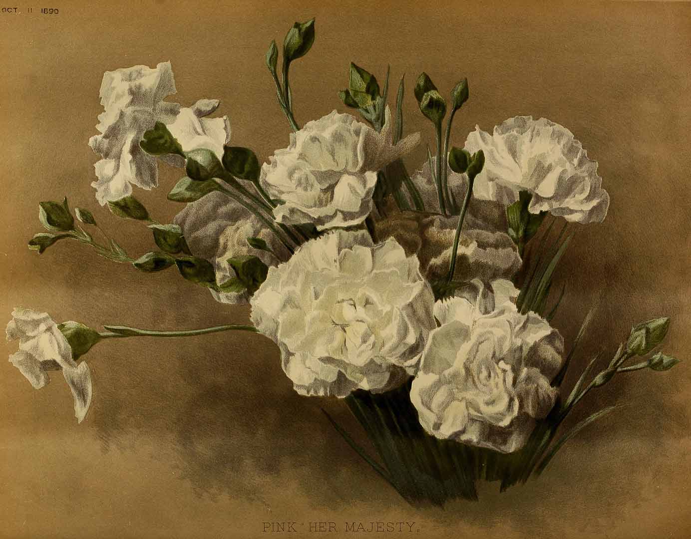 no HD illustration available (m2)