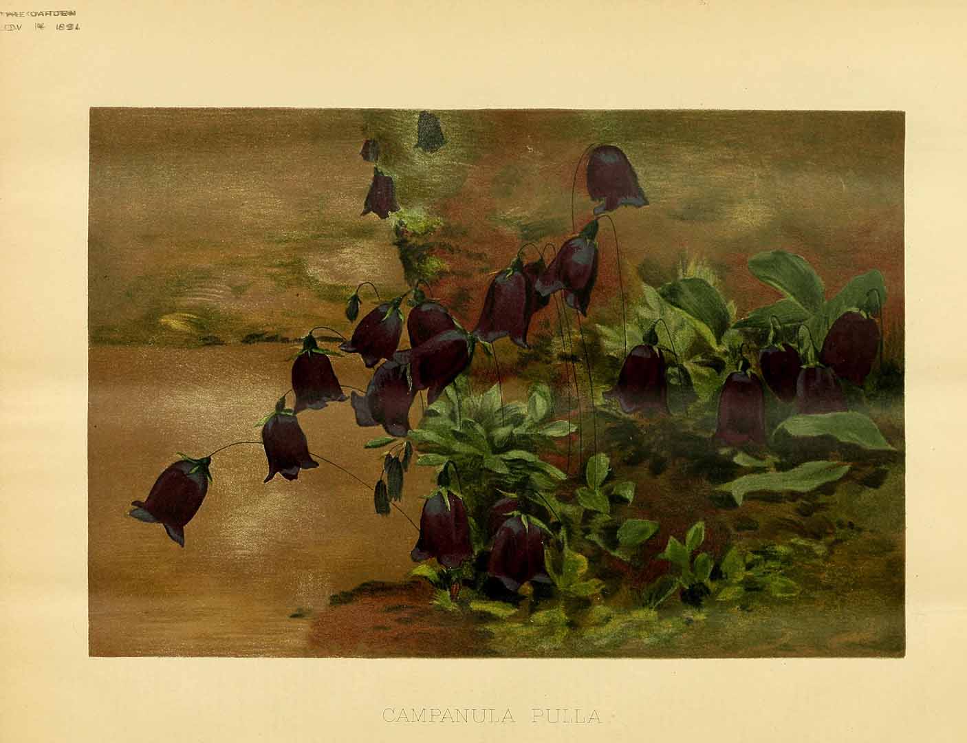 no HD illustration available (m5)