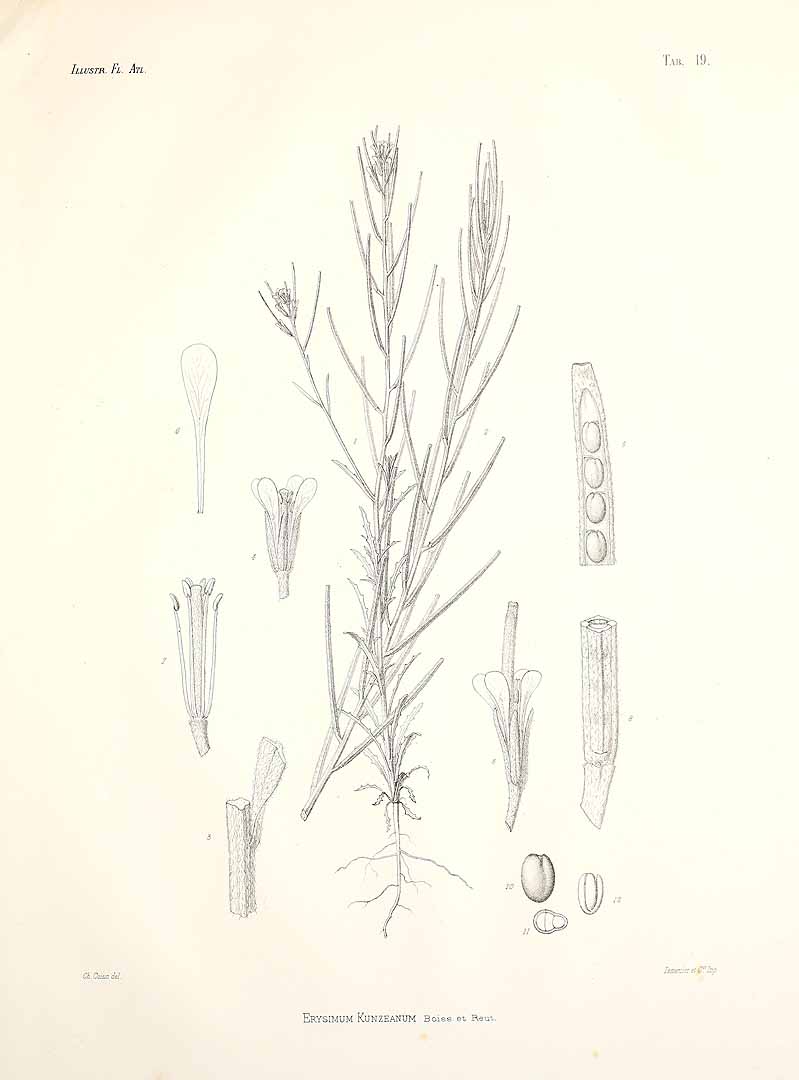 no HD illustration available (m3)