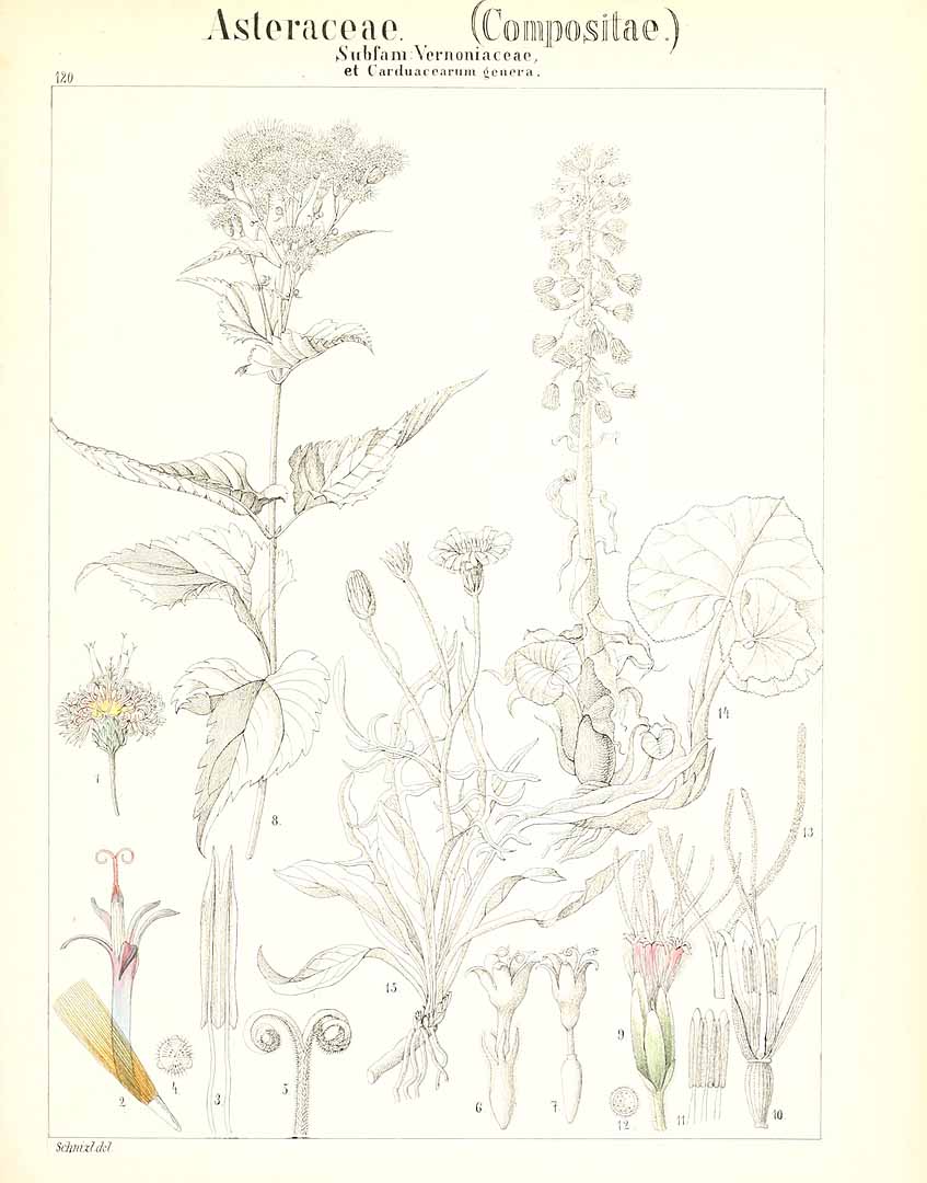 no HD illustration available (m3)