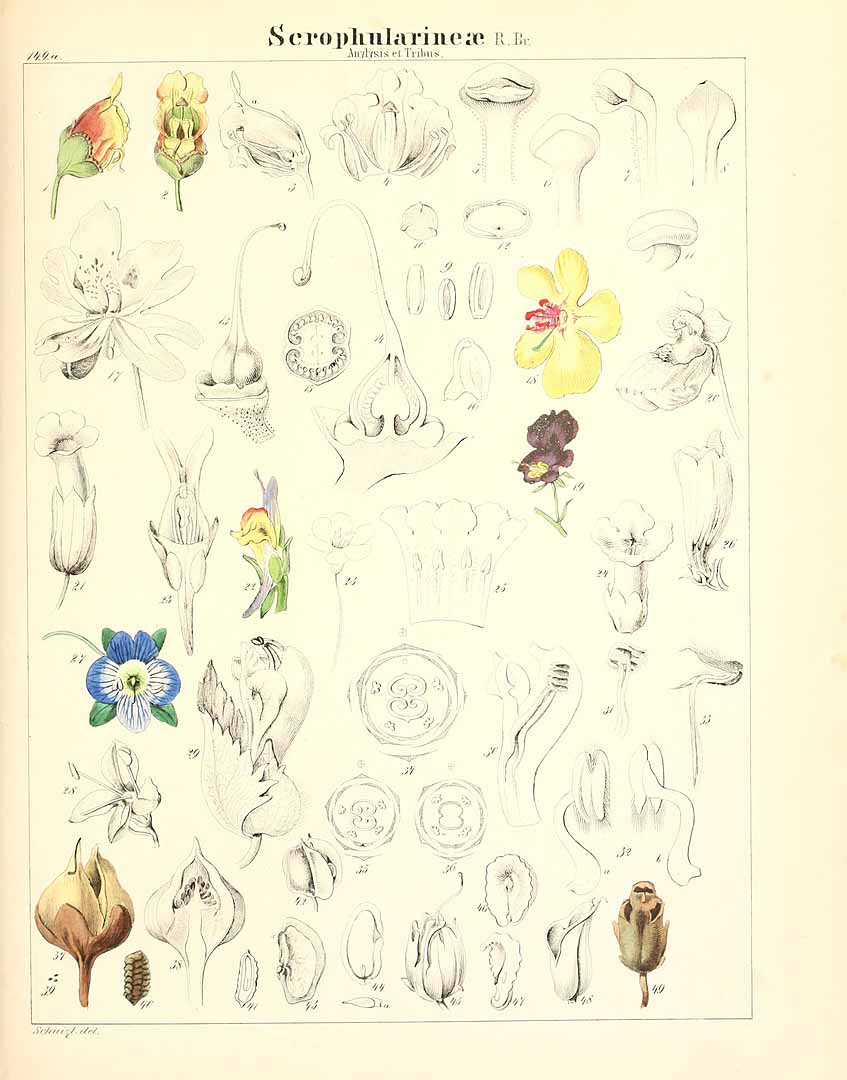 no HD illustration available (m3)
