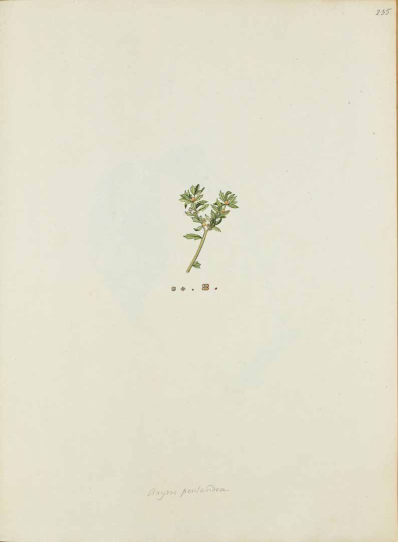no HD illustration available (m1)