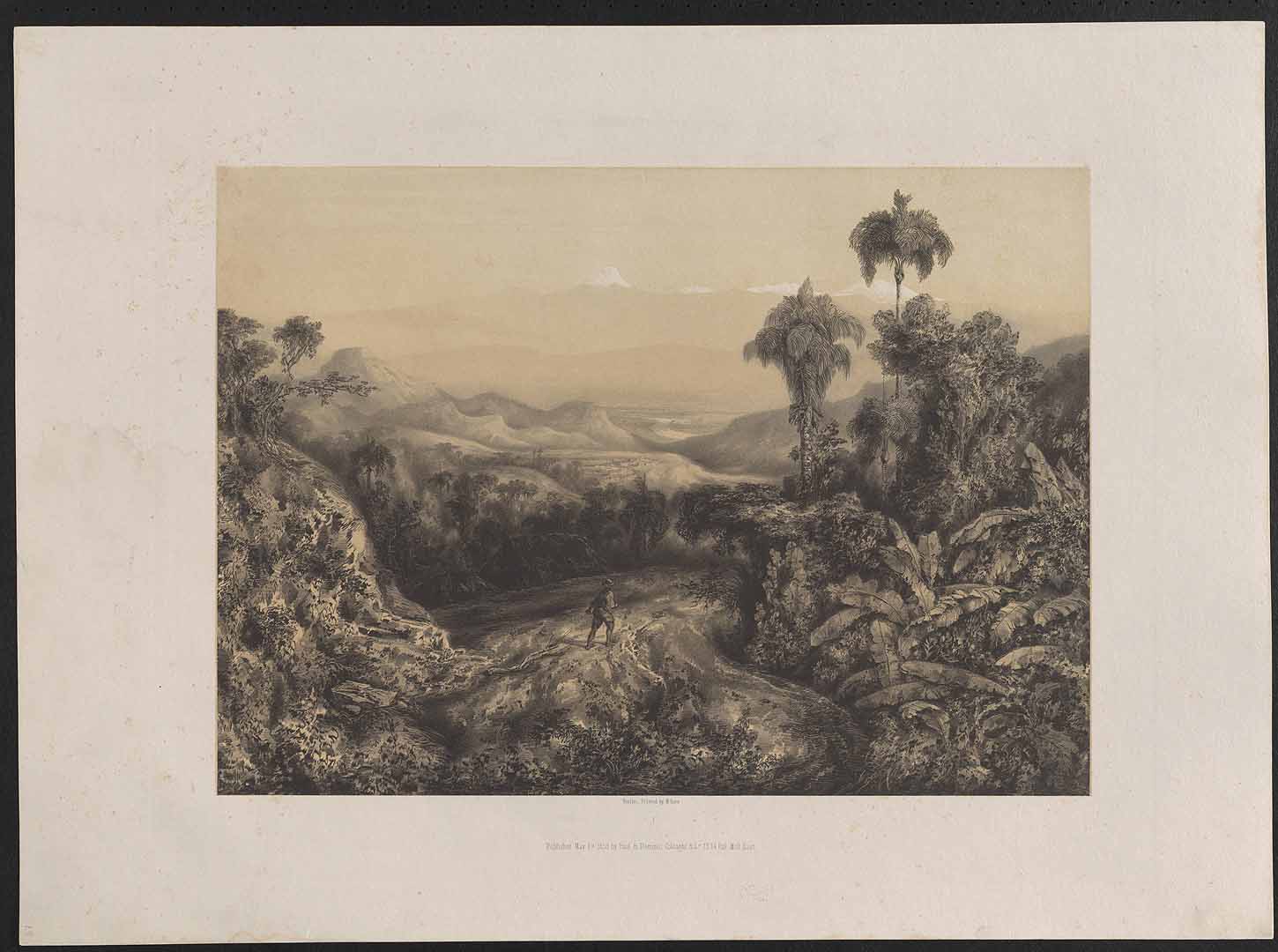 no HD illustration available (m2)