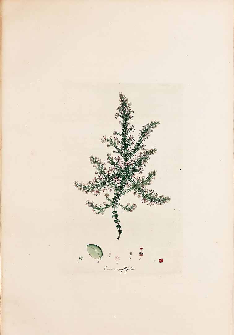 no HD illustration available (m3)