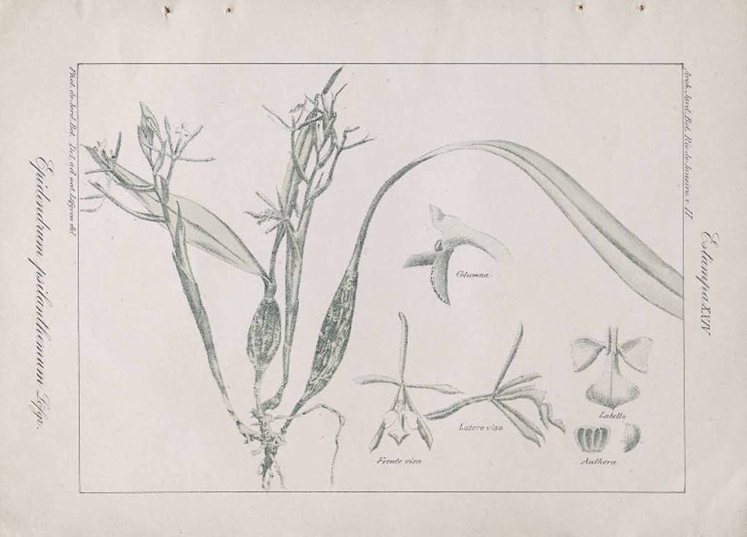 no HD illustration available (m5)