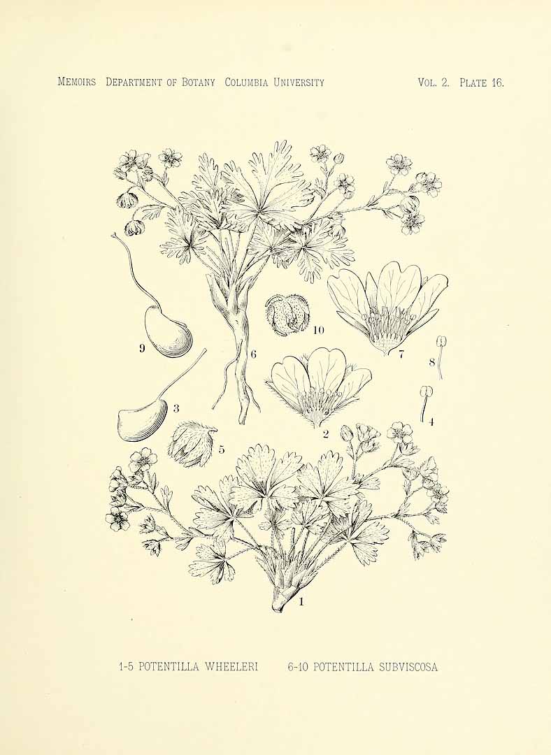no HD illustration available (m3)