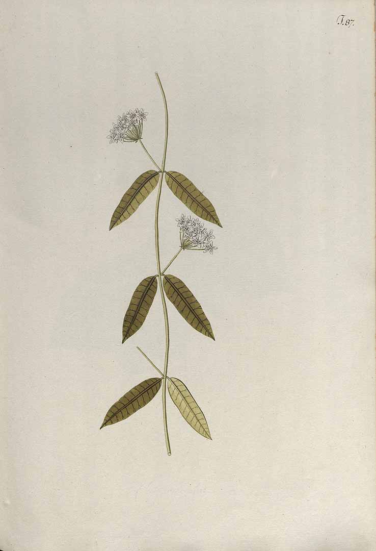 no HD illustration available (m3)