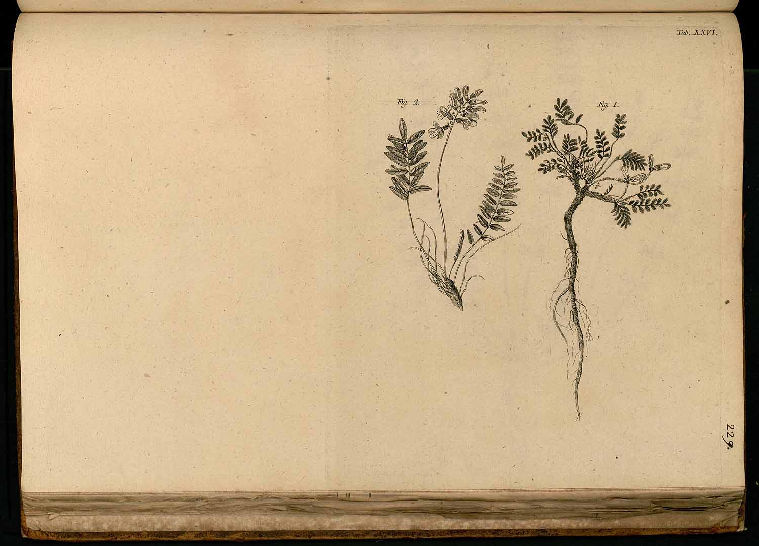 no HD illustration available (m2)