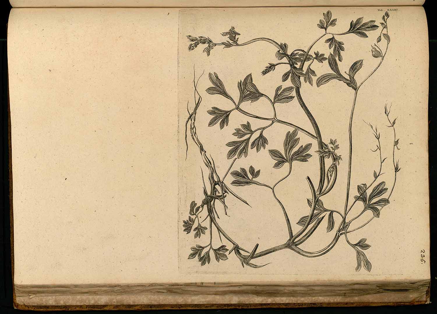 no HD illustration available (m5)
