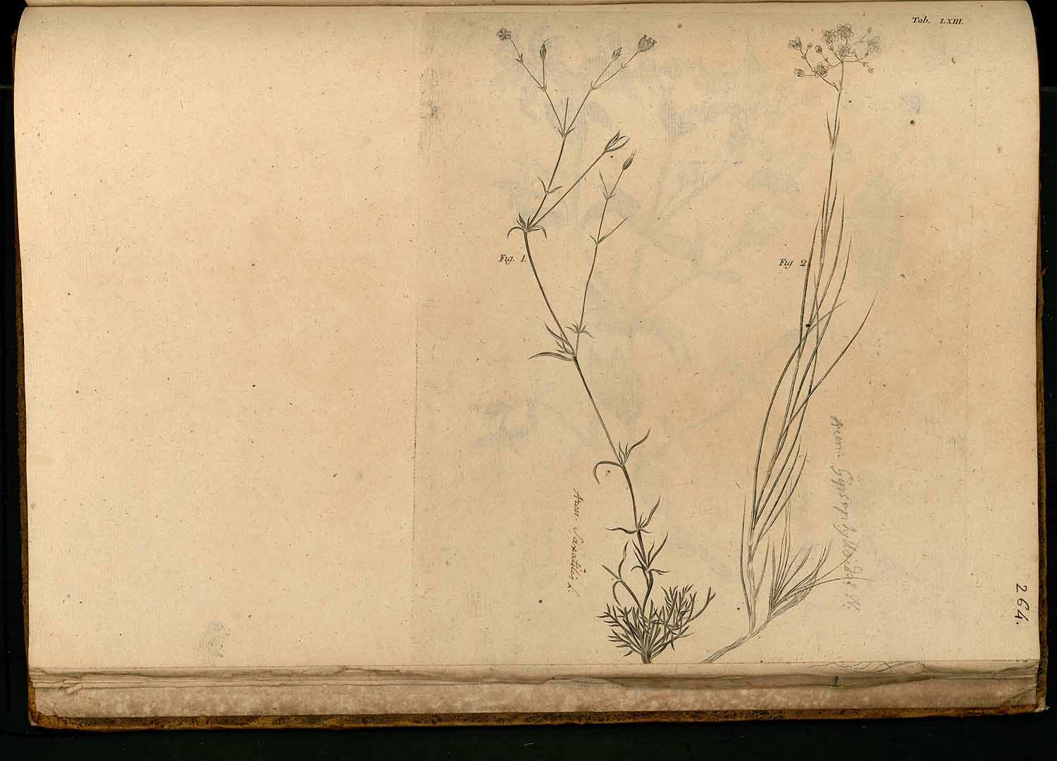 no HD illustration available (m5)