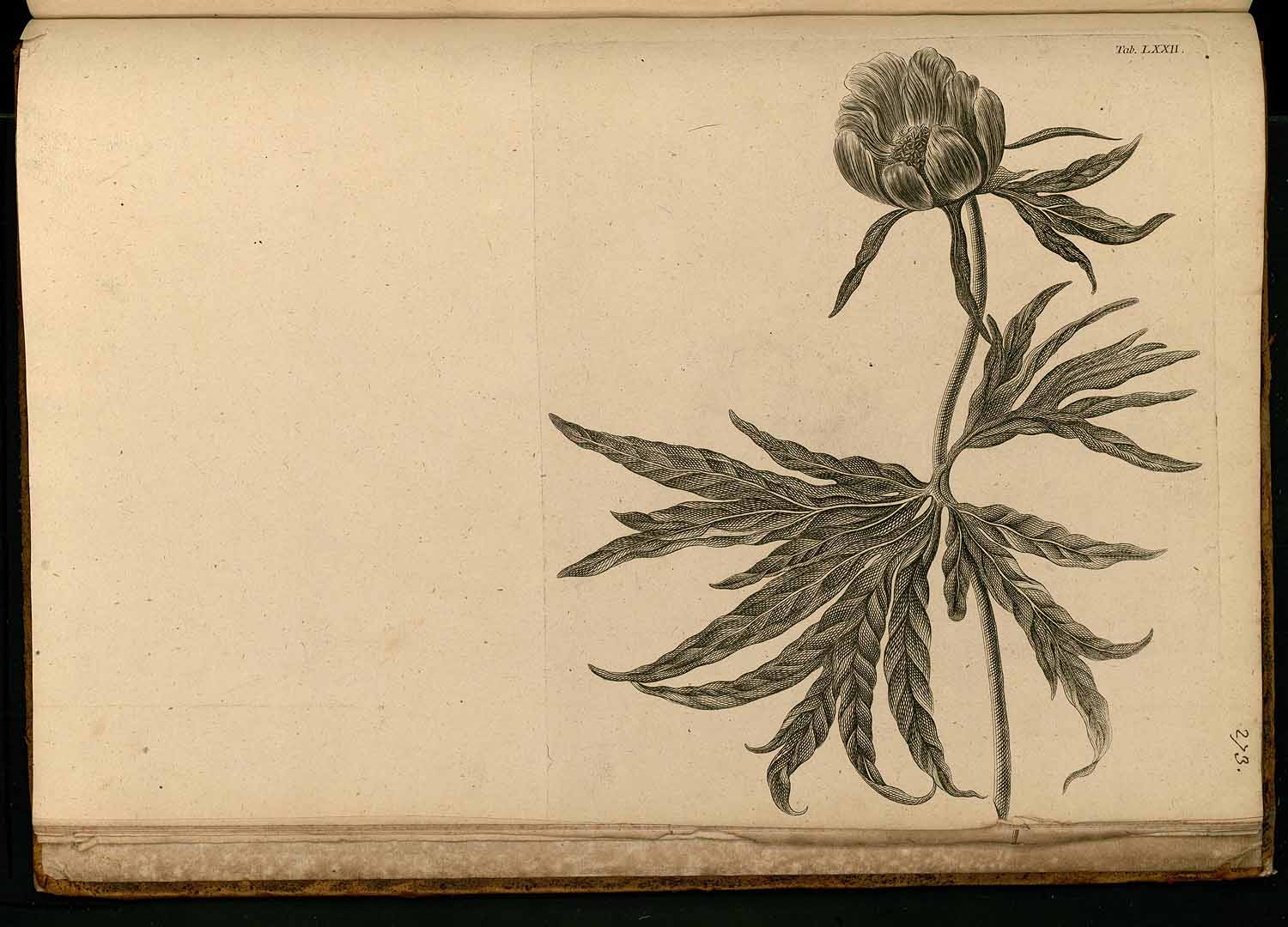 no HD illustration available (m5)