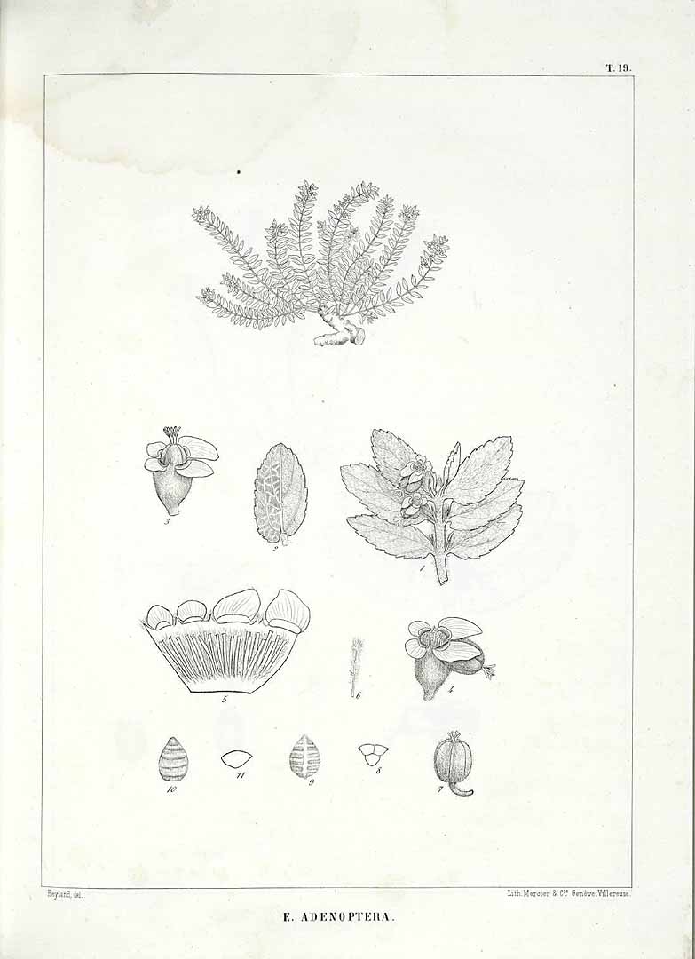 no HD illustration available (m3)
