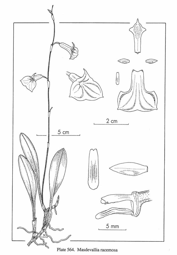 no HD illustration available (m3)
