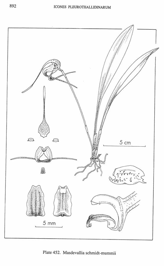no HD illustration available (m3)