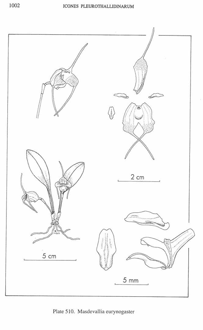 no HD illustration available (m3)