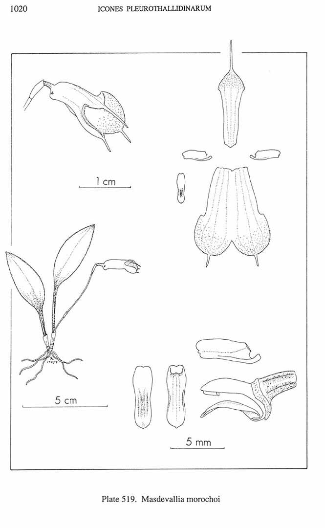 no HD illustration available (m3)