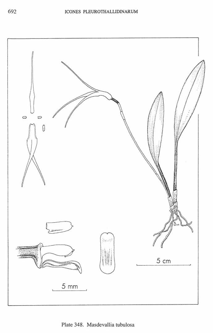 no HD illustration available (m3)