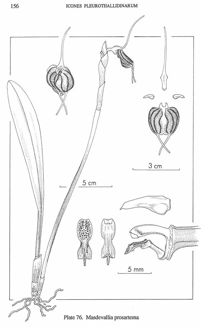 no HD illustration available (m3)