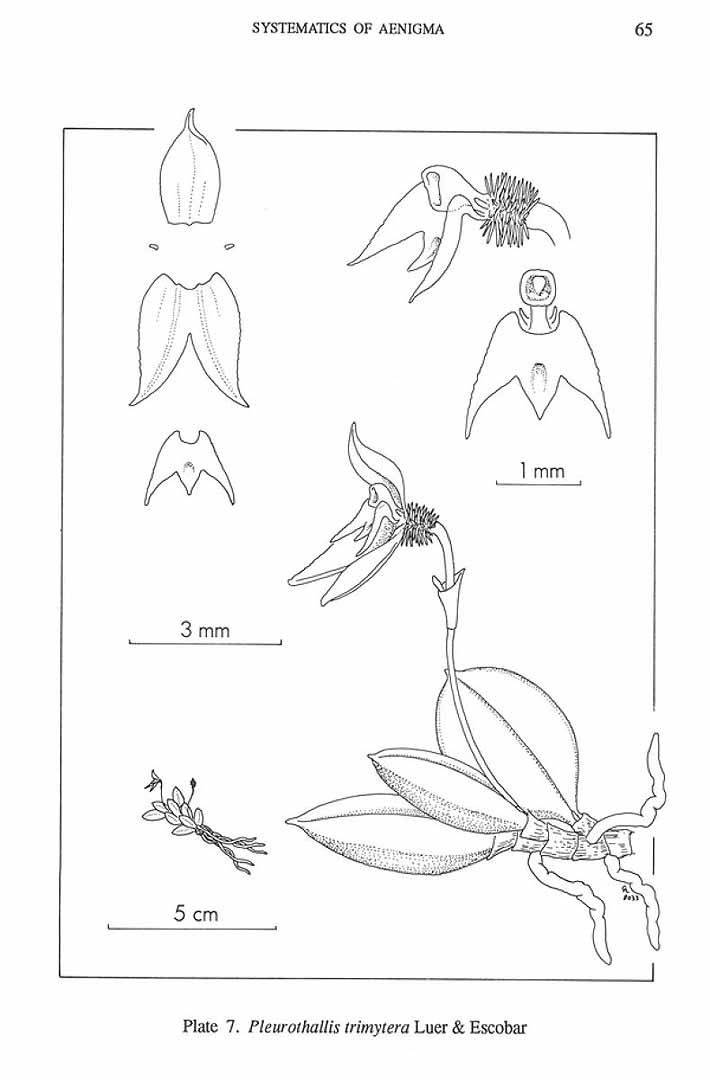 no HD illustration available (m3)