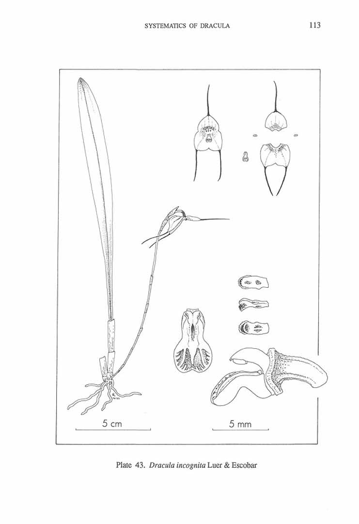no HD illustration available (m5)