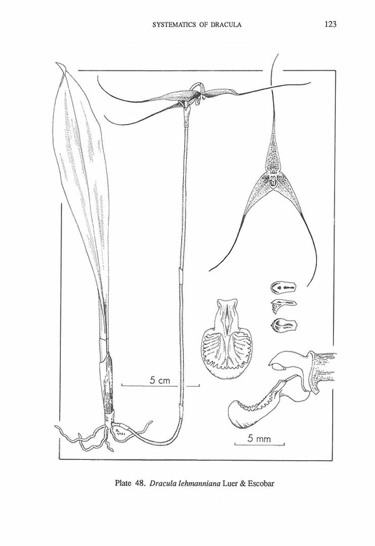no HD illustration available (m3)