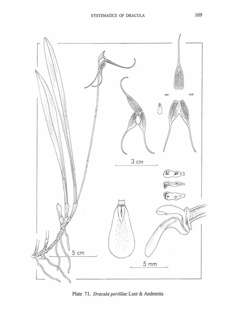 no HD illustration available (m3)
