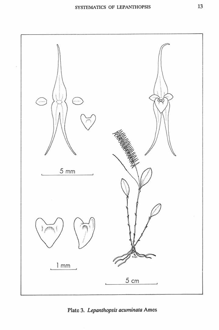 no HD illustration available (m1)