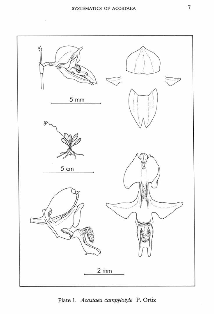 no HD illustration available (m1)