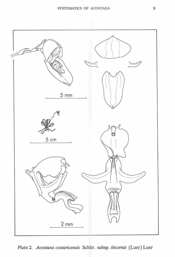no HD illustration available (m3)