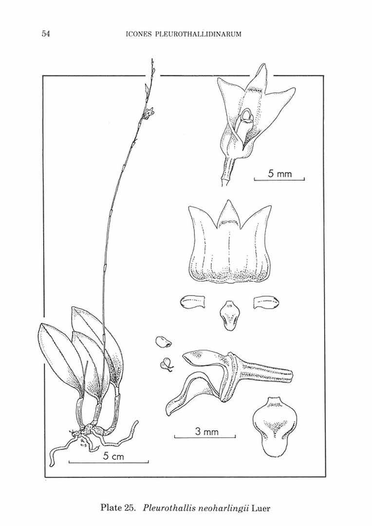 no HD illustration available (m3)