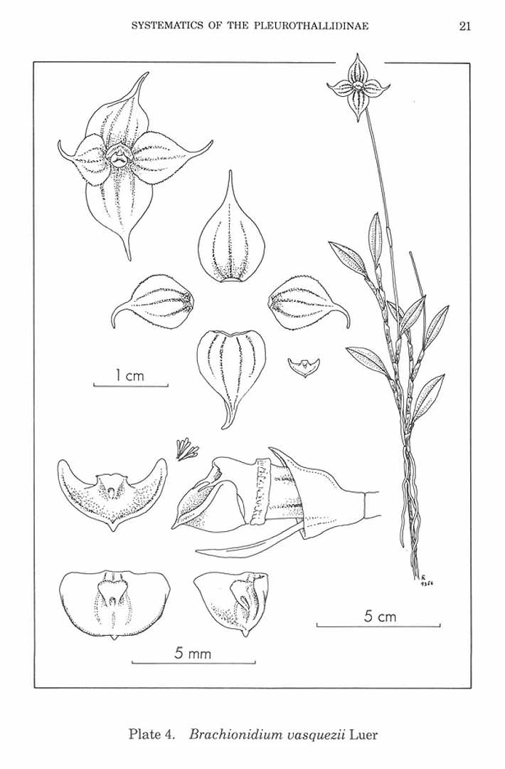 no HD illustration available (m3)