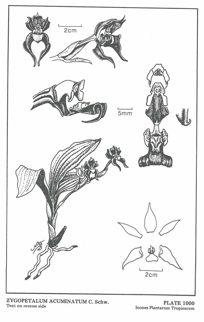 no HD illustration available (m3)