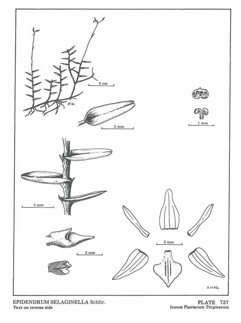 no HD illustration available (m5)