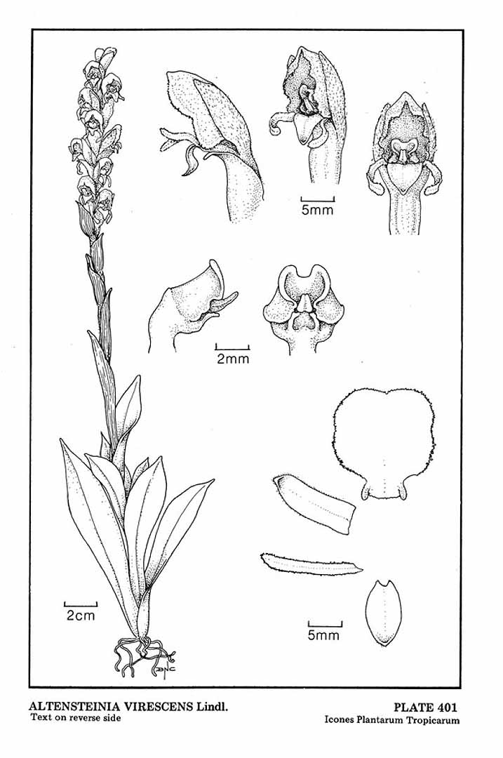 no HD illustration available (m3)