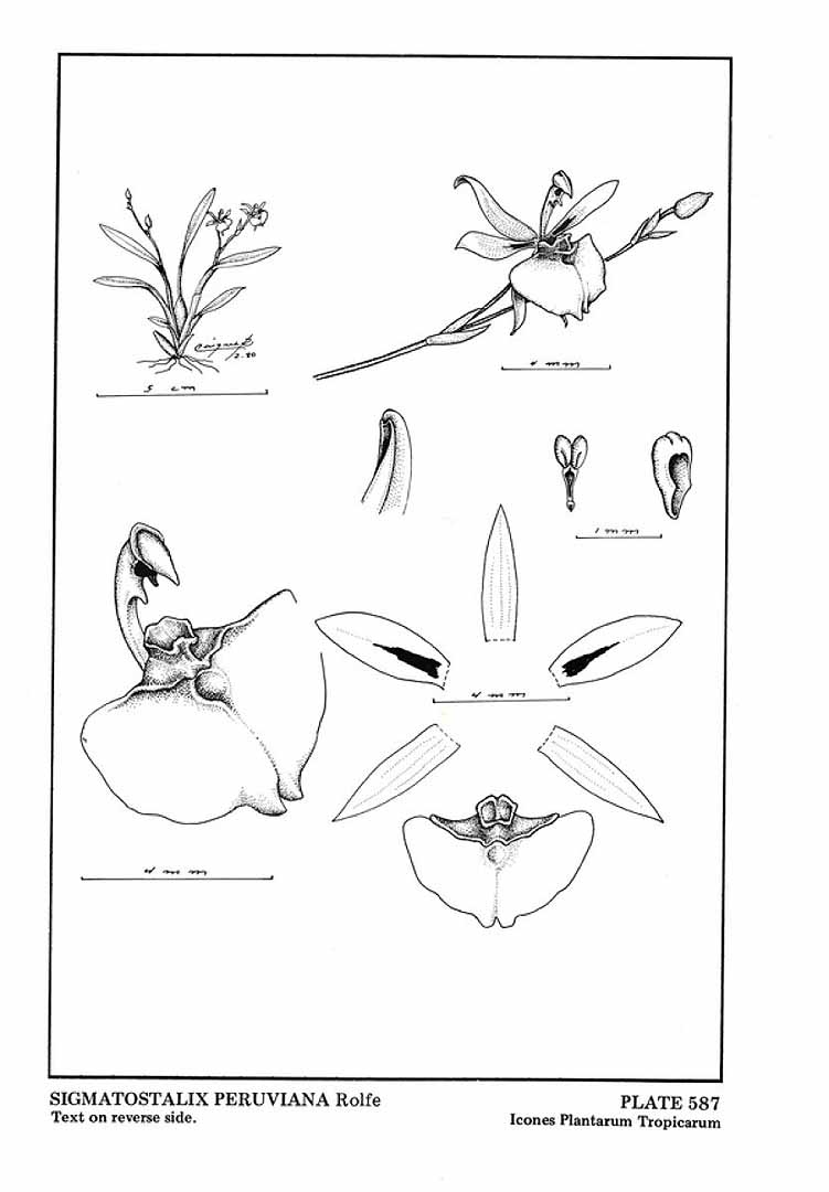 no HD illustration available (m3)